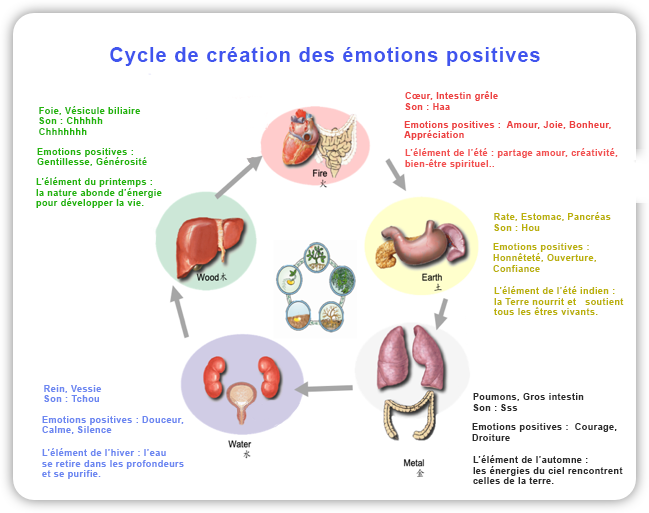 cycle-5-elements-positifs-FR